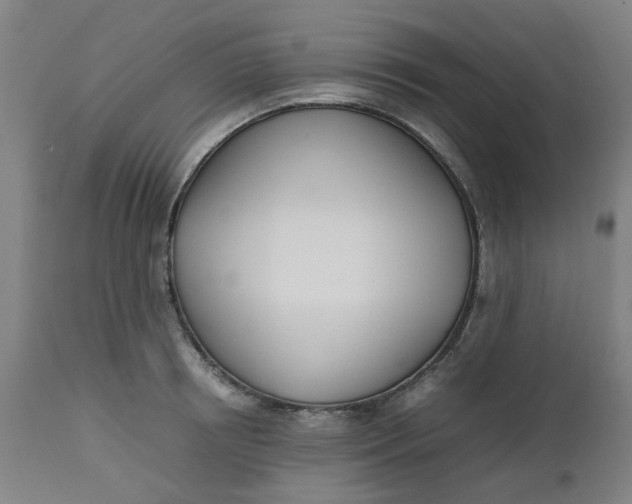 X0000112490850200909071219