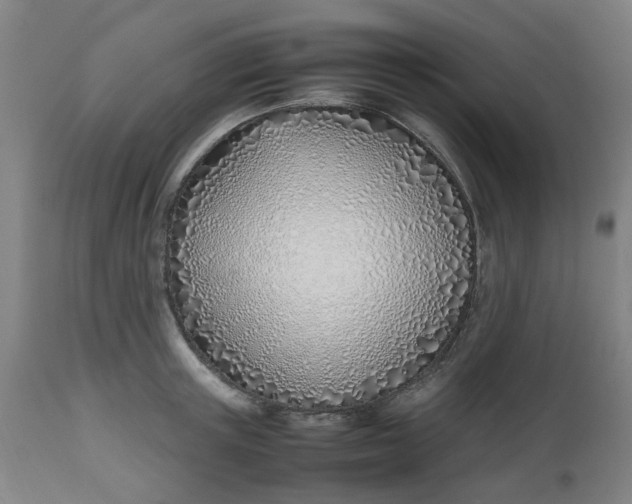 X0000112490851200909071219