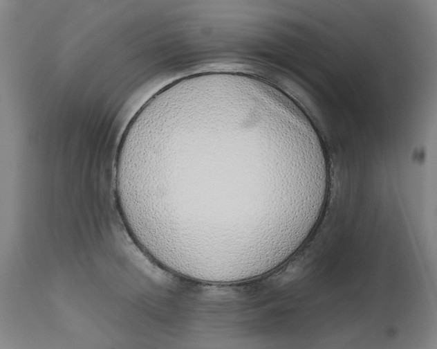 X0000112490852200909071219