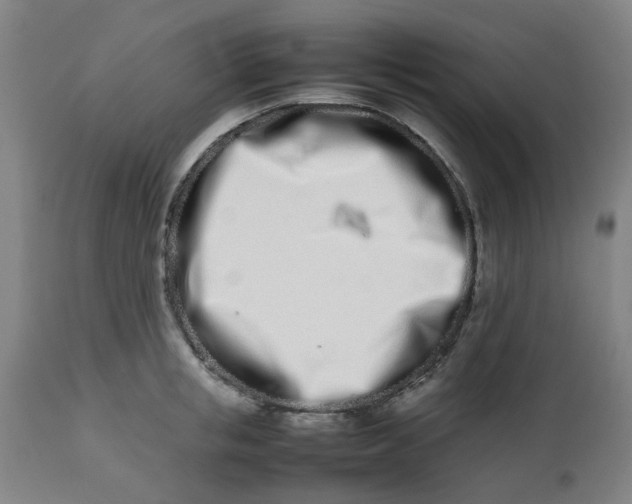 X0000112490853200909071219