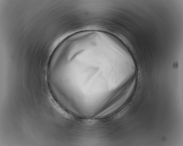 X0000112490854200909071219