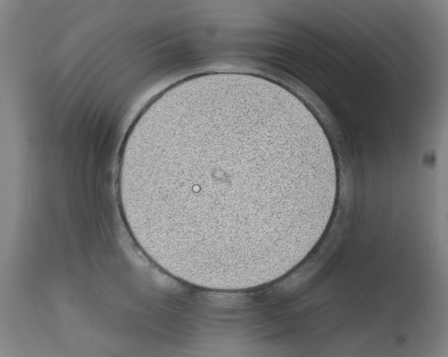 X0000112490856200909071219