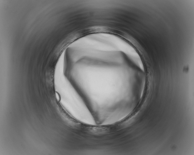 X0000112490857200909071219