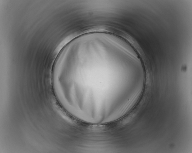 X0000112490858200909071219