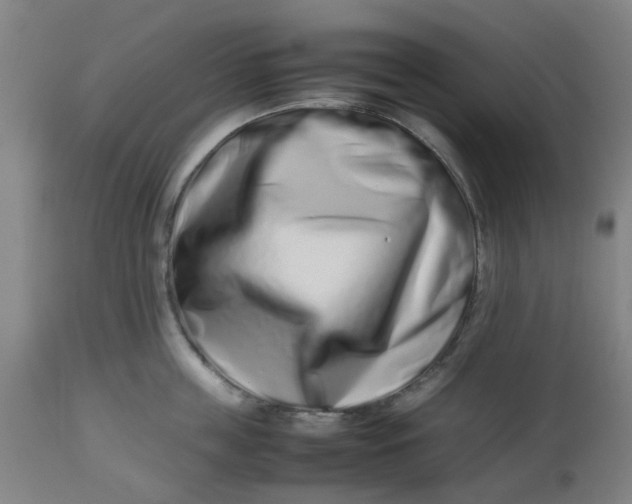 X0000112490859200909071219