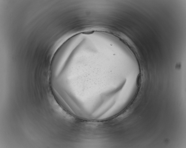 X0000112490860200909071219