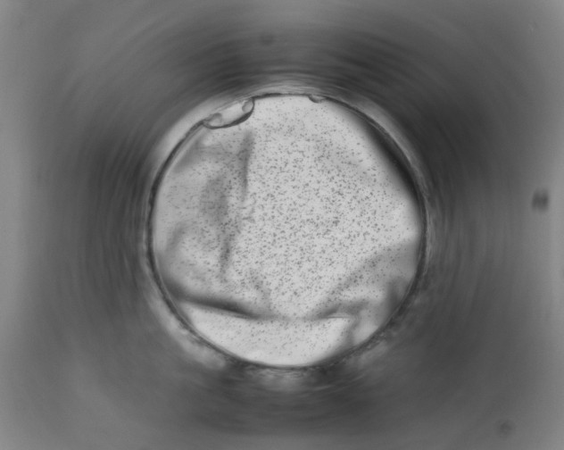 X0000112490861200909071219