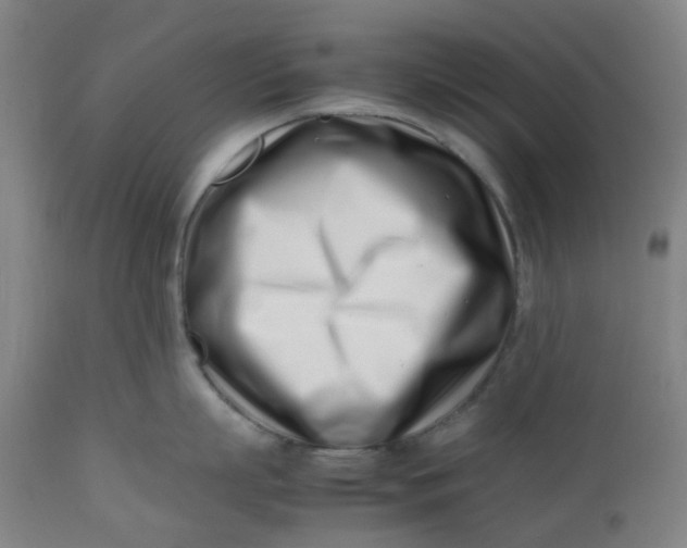 X0000112490863200909071219