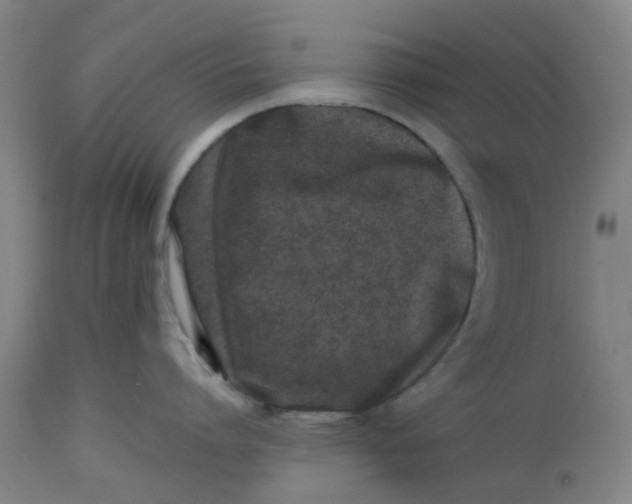 X0000112490864200909071219