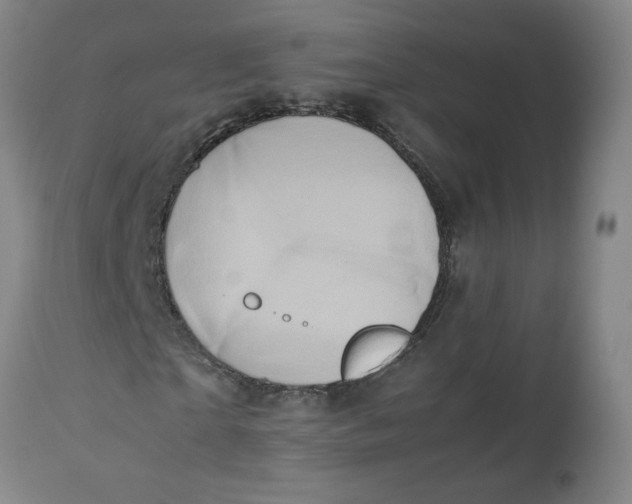 X0000112490865200909071219