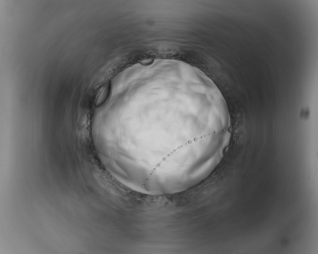 X0000112490866200909071219