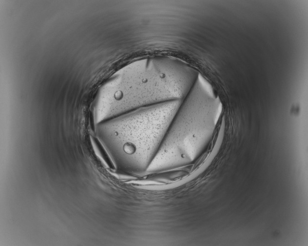 X0000112490868200909071219