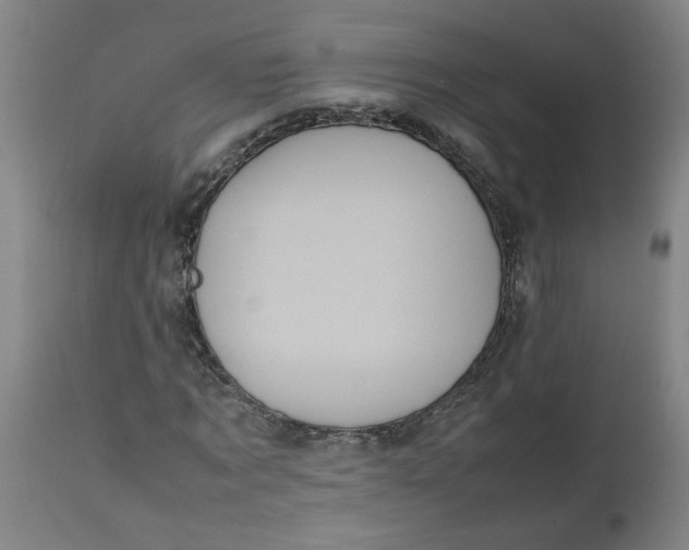 X0000112490869200909071219