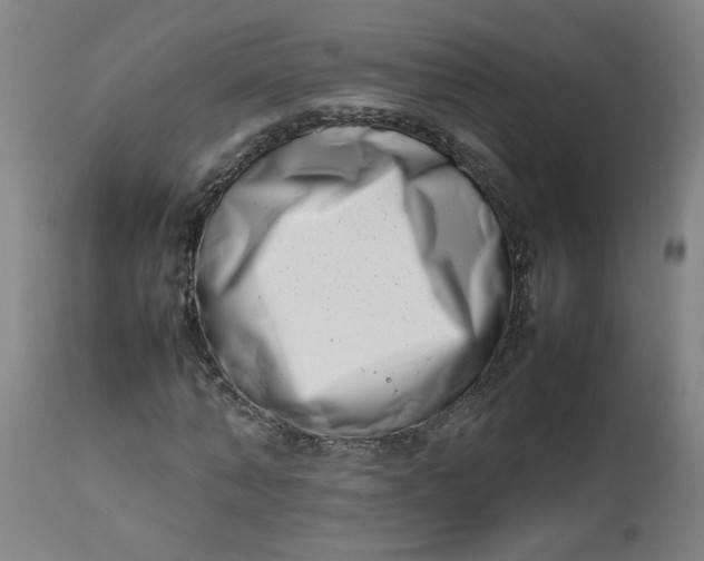 X0000112490870200909071219