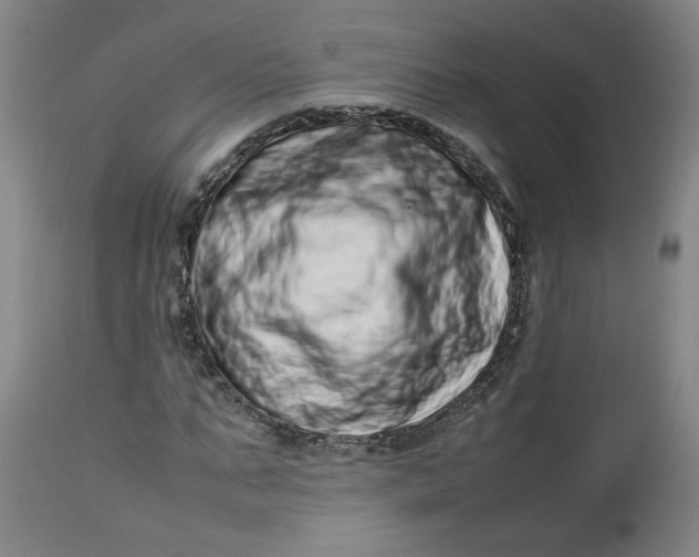 X0000112490871200909071219