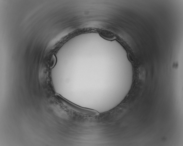 X0000112490872200909071219