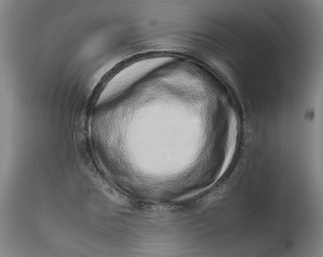 X0000112490875200909071219