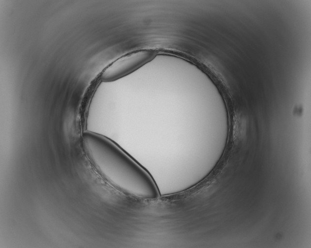 X0000112490876200909071219