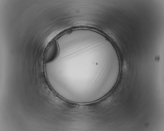 X0000112490877200909071219