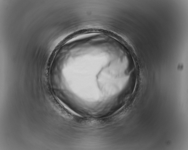 X0000112490879200909071219