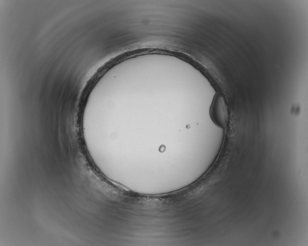 X0000112490880200909071219