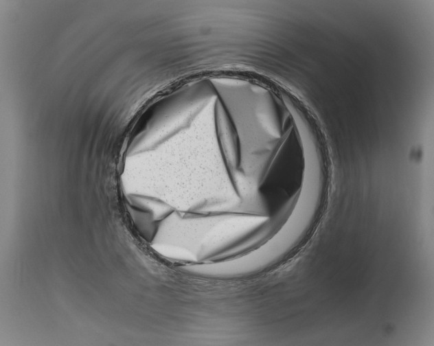 X0000112490881200909071219