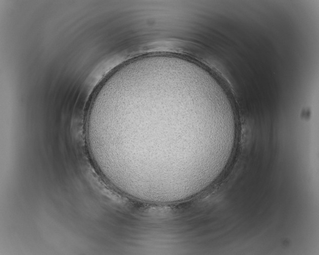 X0000112490882200909071219