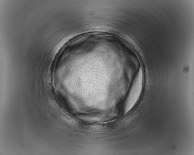 X0000112490883200909071218