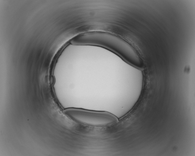 X0000112490884200909071218