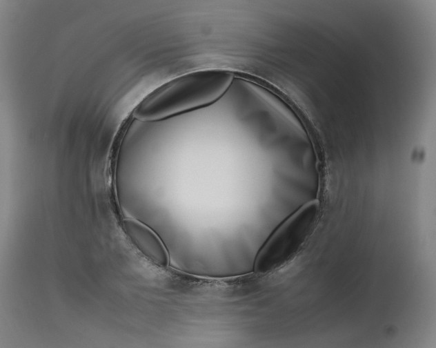 X0000112490885200909071218