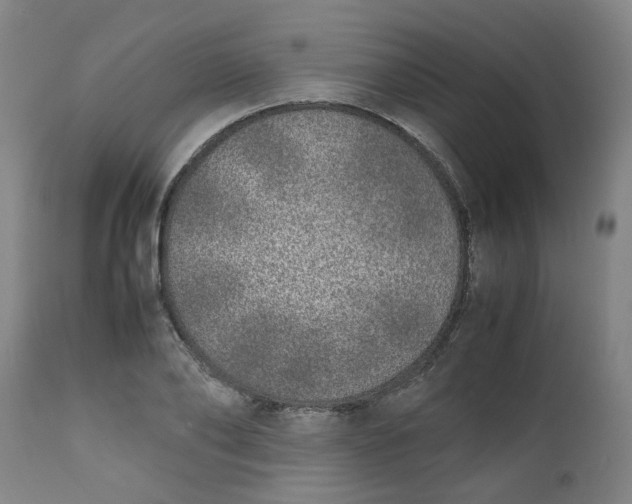 X0000112490886200909071218