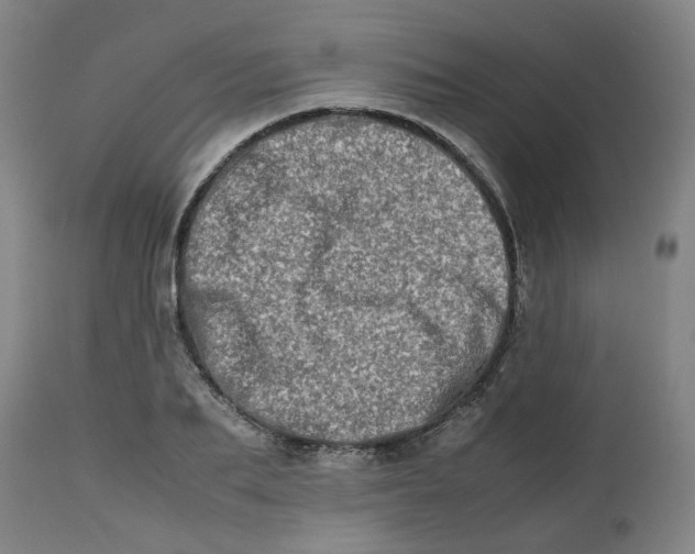 X0000112490887200909071218