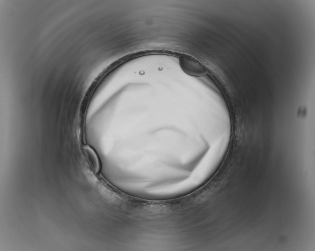 X0000112490888200909071218