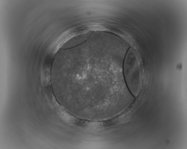 X0000112490889200909071218