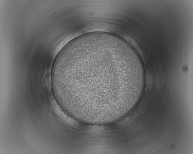 X0000112490890200909071218