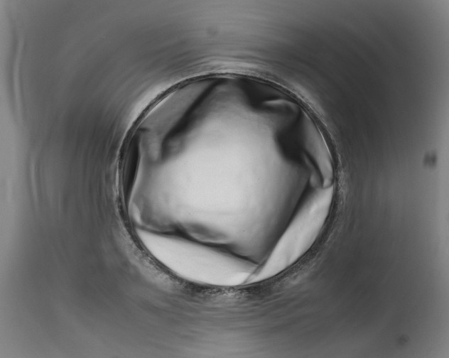 X0000112490891200909071218