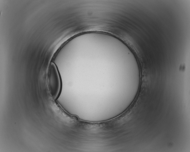 X0000112490892200909071218