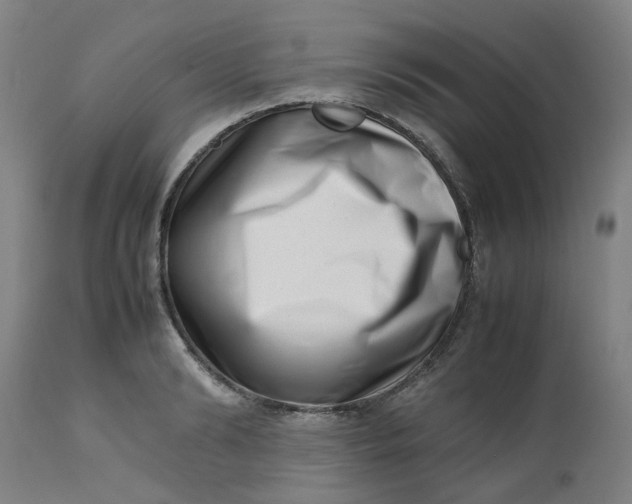 X0000112490894200909071218