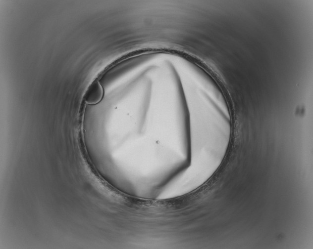 X0000112490895200909071218