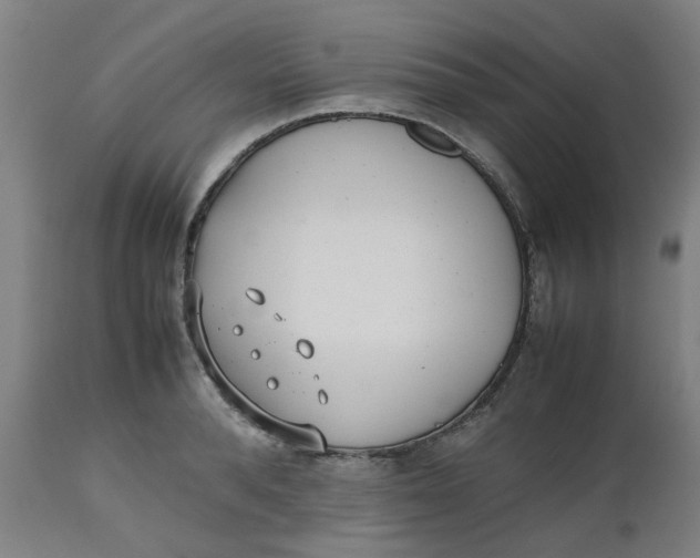 X0000112490896200909071218