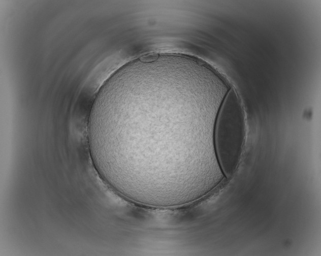 X0000112490897200909071218