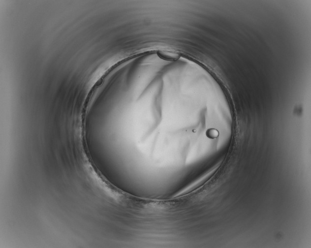 X0000112490898200909071218