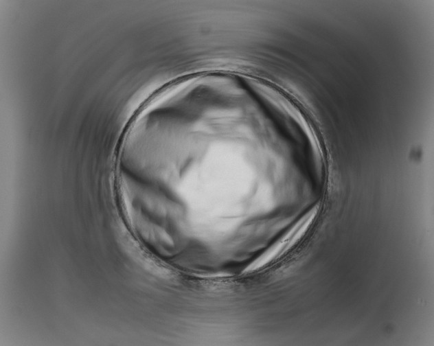 X0000112490899200909071218