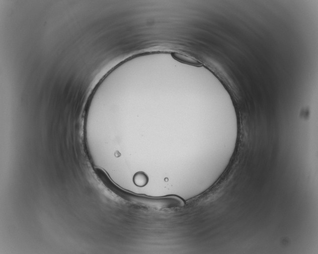 X0000112490900200909071218