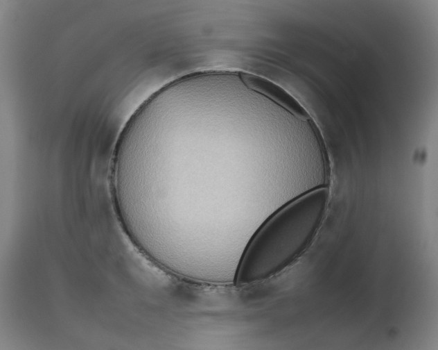 X0000112490901200909071218