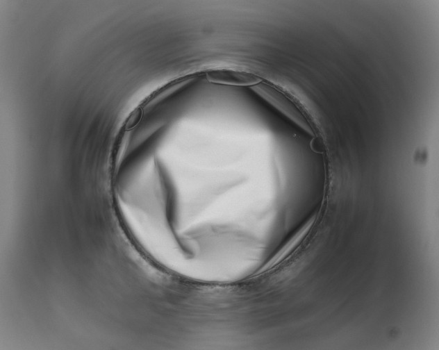 X0000112490902200909071218