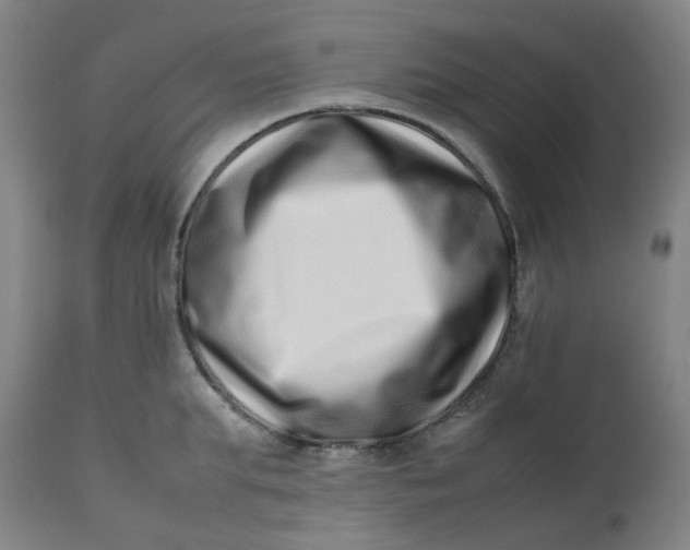 X0000112490903200909071218