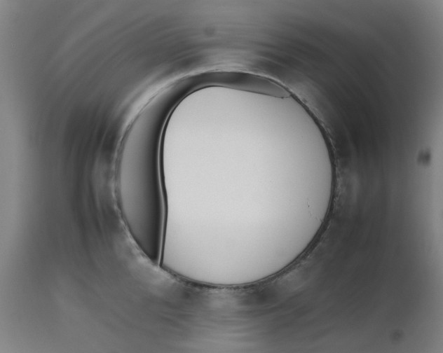 X0000112490904200909071218