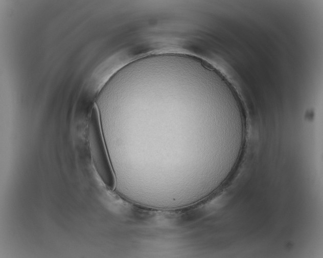 X0000112490905200909071218