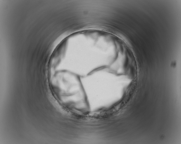 X0000112490907200909071218